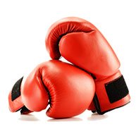 R-M FightPro Boxing Gloves